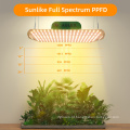 Luzes de cultivo de LED de espectro completo para vegetais